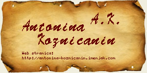 Antonina Kozničanin vizit kartica